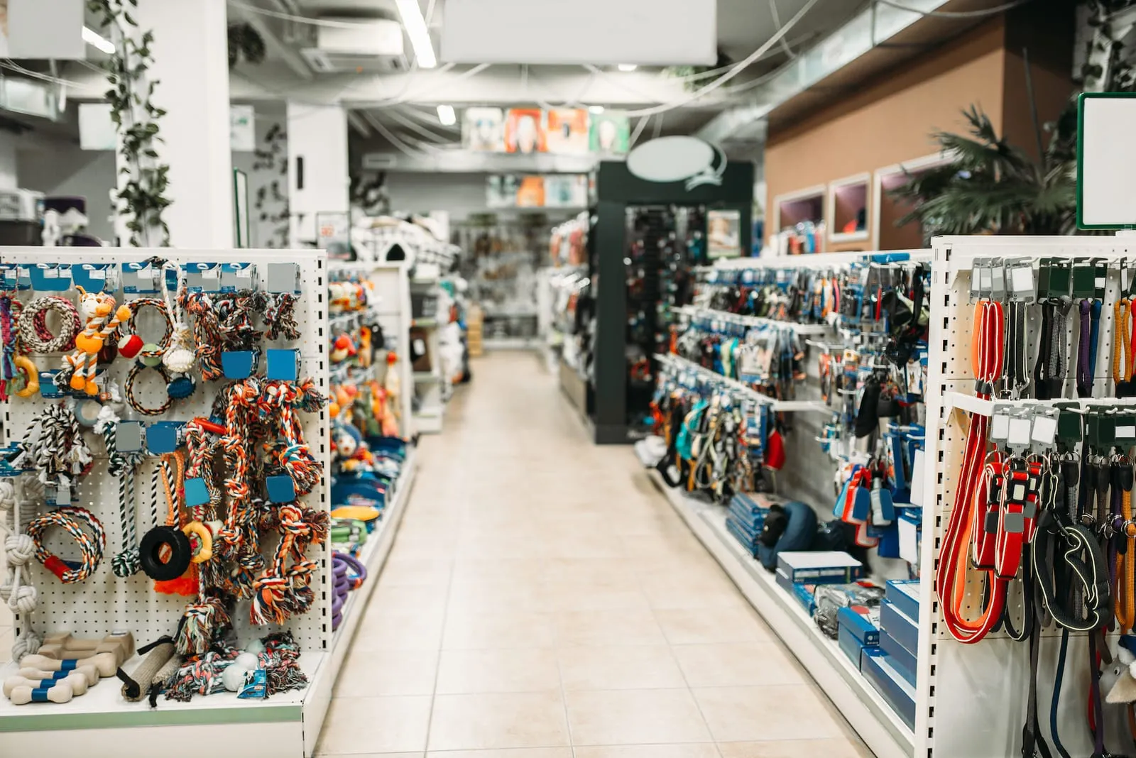Interior of a pet shop