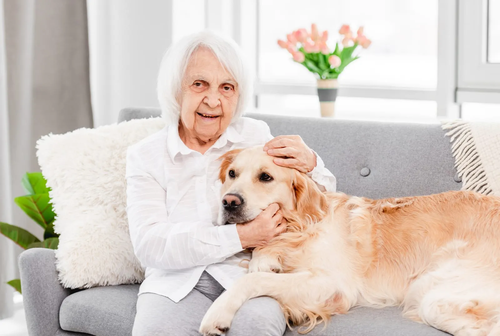 Elderly woman with golden retriever